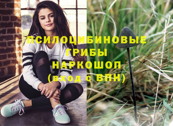 не бодяженный Горнозаводск